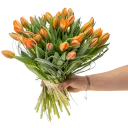 Kytice  tulipánů